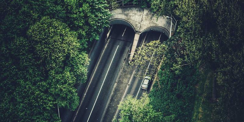 Photoshop Camera Raw局部调整进阶：重塑光影与背景优化的专业图像处理技巧