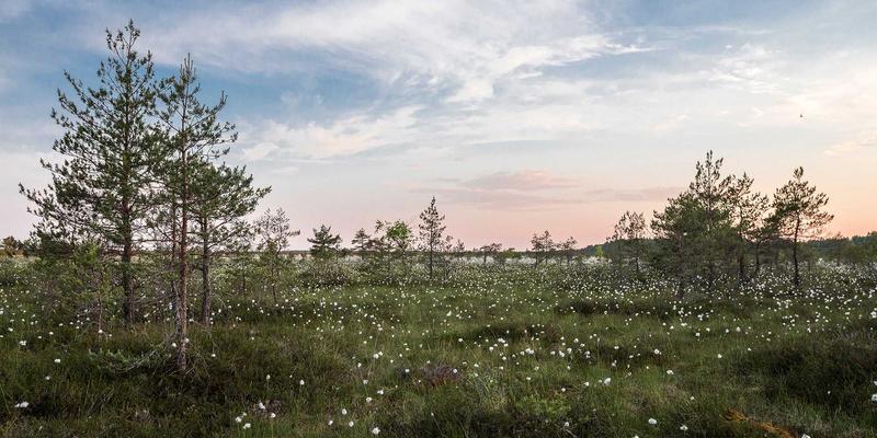 从Photoshop精修到专业修图服务：全面解析现代图像处理的三大核心