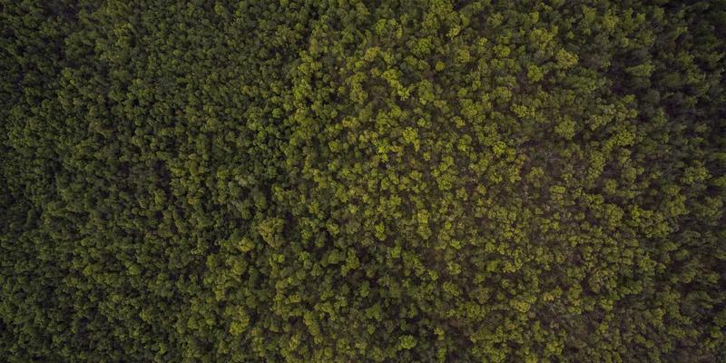 从背景移除到专业合成：掌握Photo Editing的核心技巧与工具选择