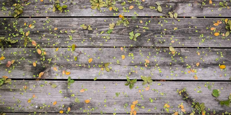 建筑摄影后期矫正指南：透视校正、镜头畸变修复与线条拉直技巧