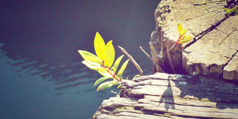 掌握Photoshop蒙版与混合模式：从精准background removal到高级color correction的创意合成指南