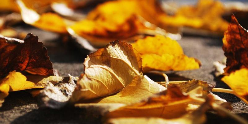 社交媒体照片优化全攻略：从精准裁剪到专业级色彩校正（Color Correction）与图像处理（Image Processing）