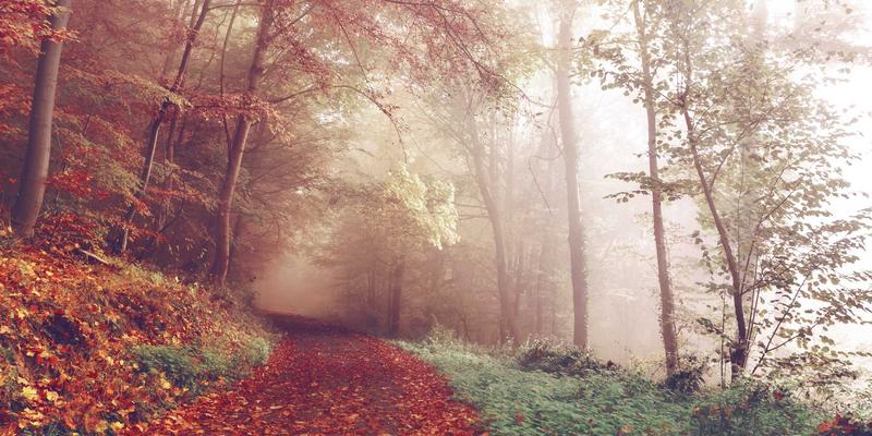 社交媒体照片优化终极指南：从背景移除到专业修图服务的尺寸、锐化与色彩配置